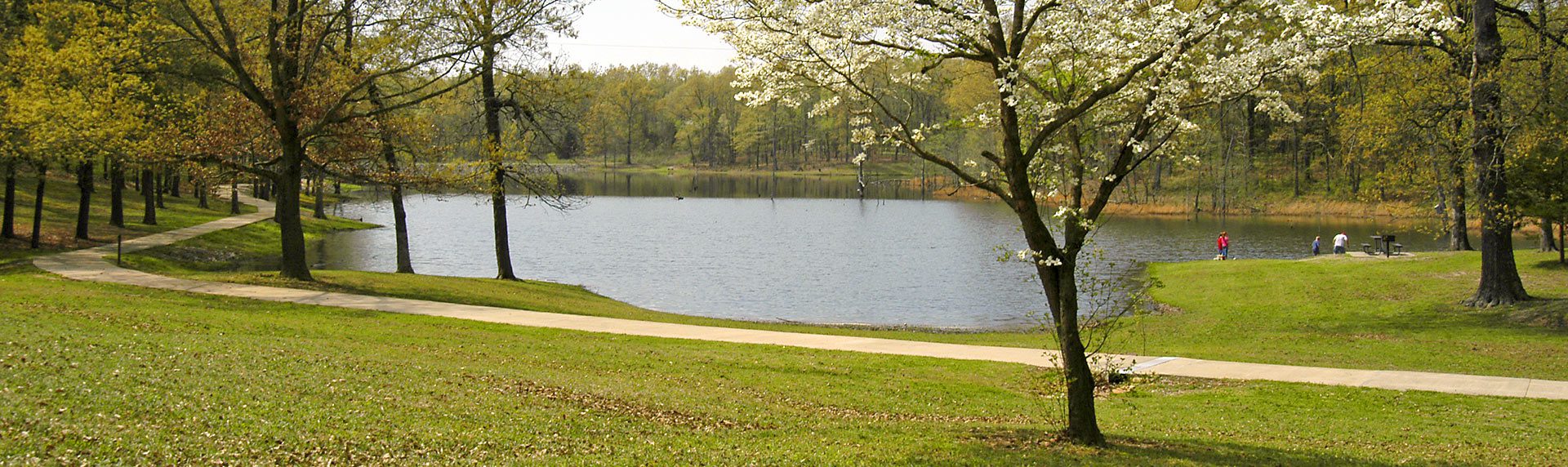 Councils needn’t hang on grimly to our parks