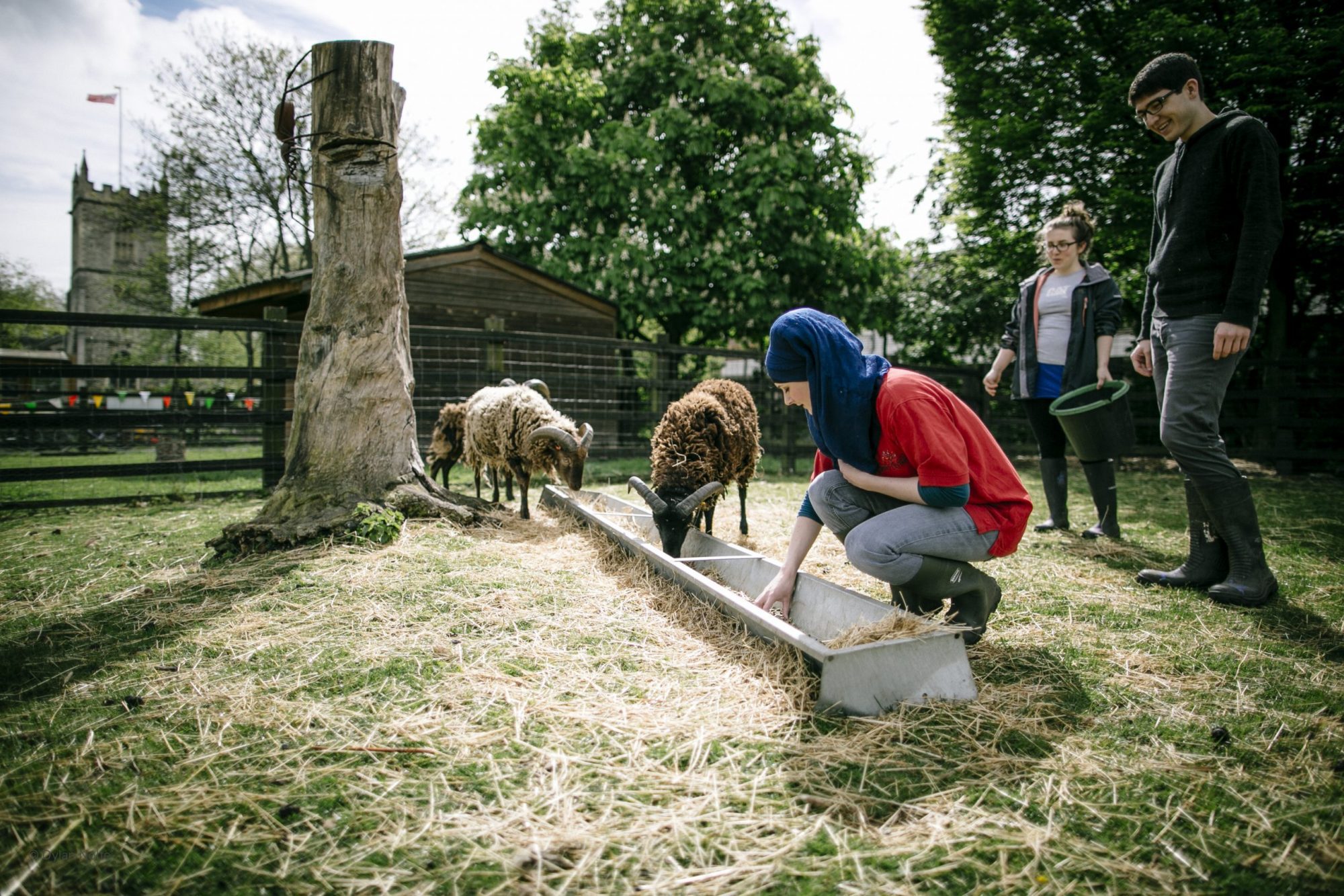Stepney City Farm
