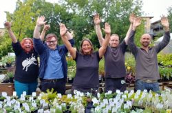Hulme community garden centre