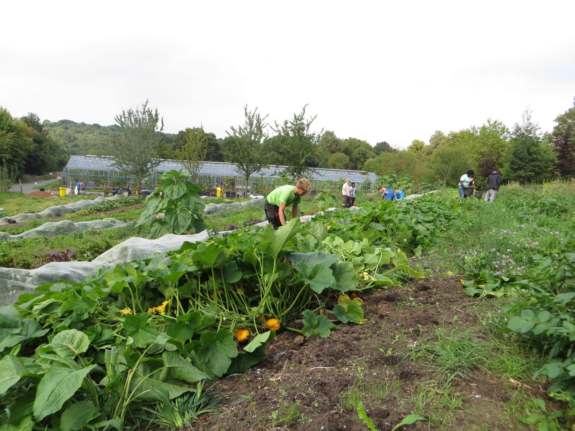 £1.34m fund to support community food and farming businesses