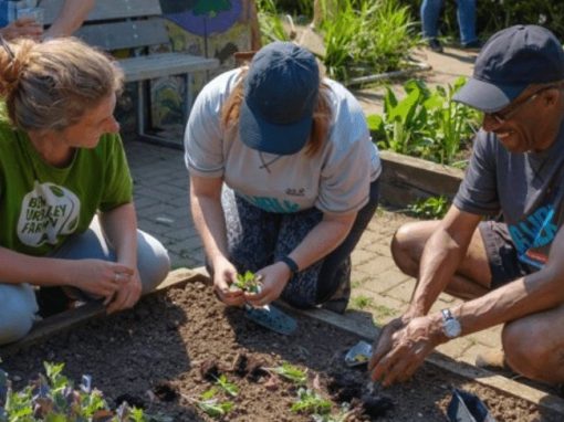 Tackling food poverty the community-led way