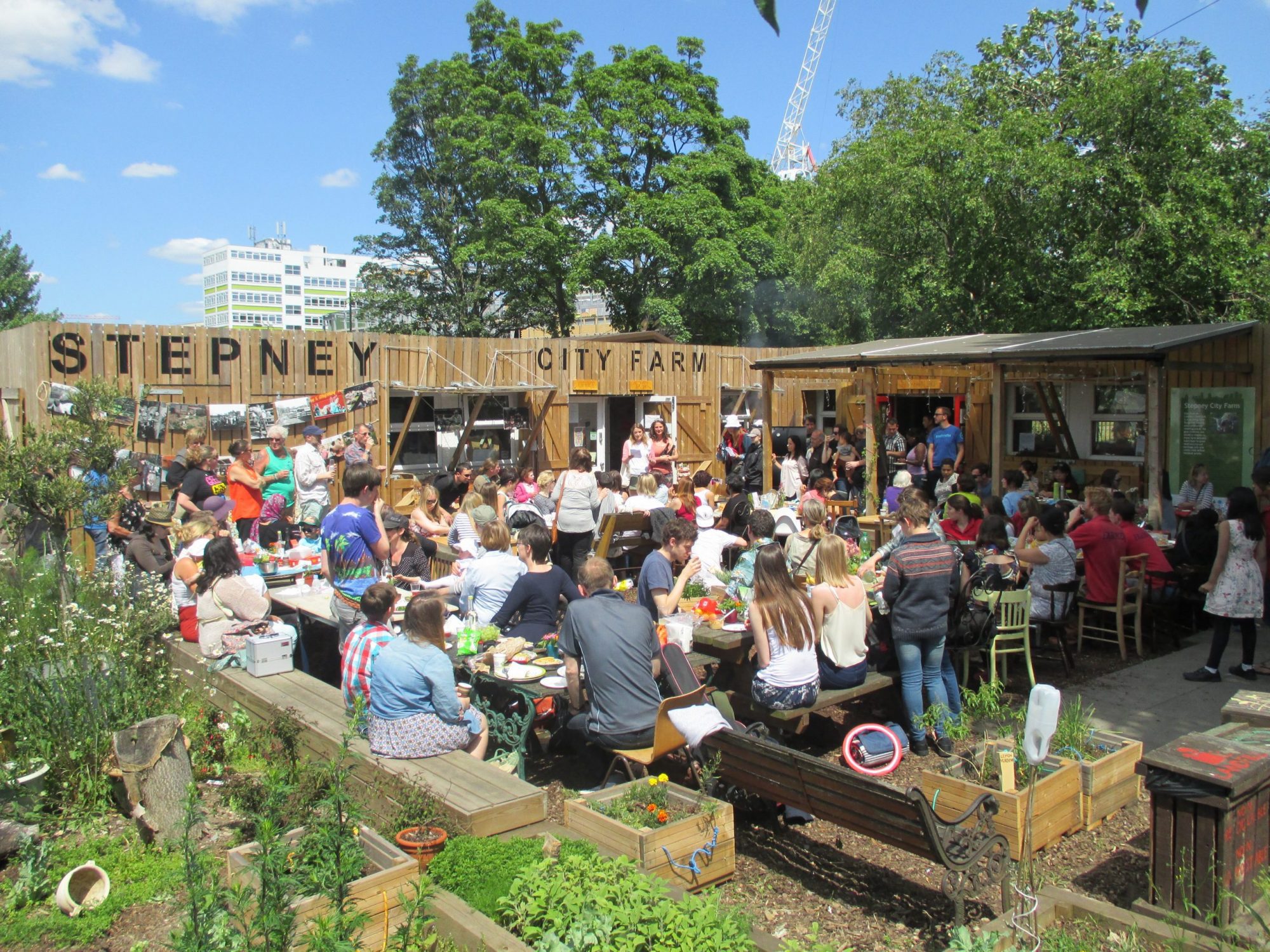 Stepney City Farm