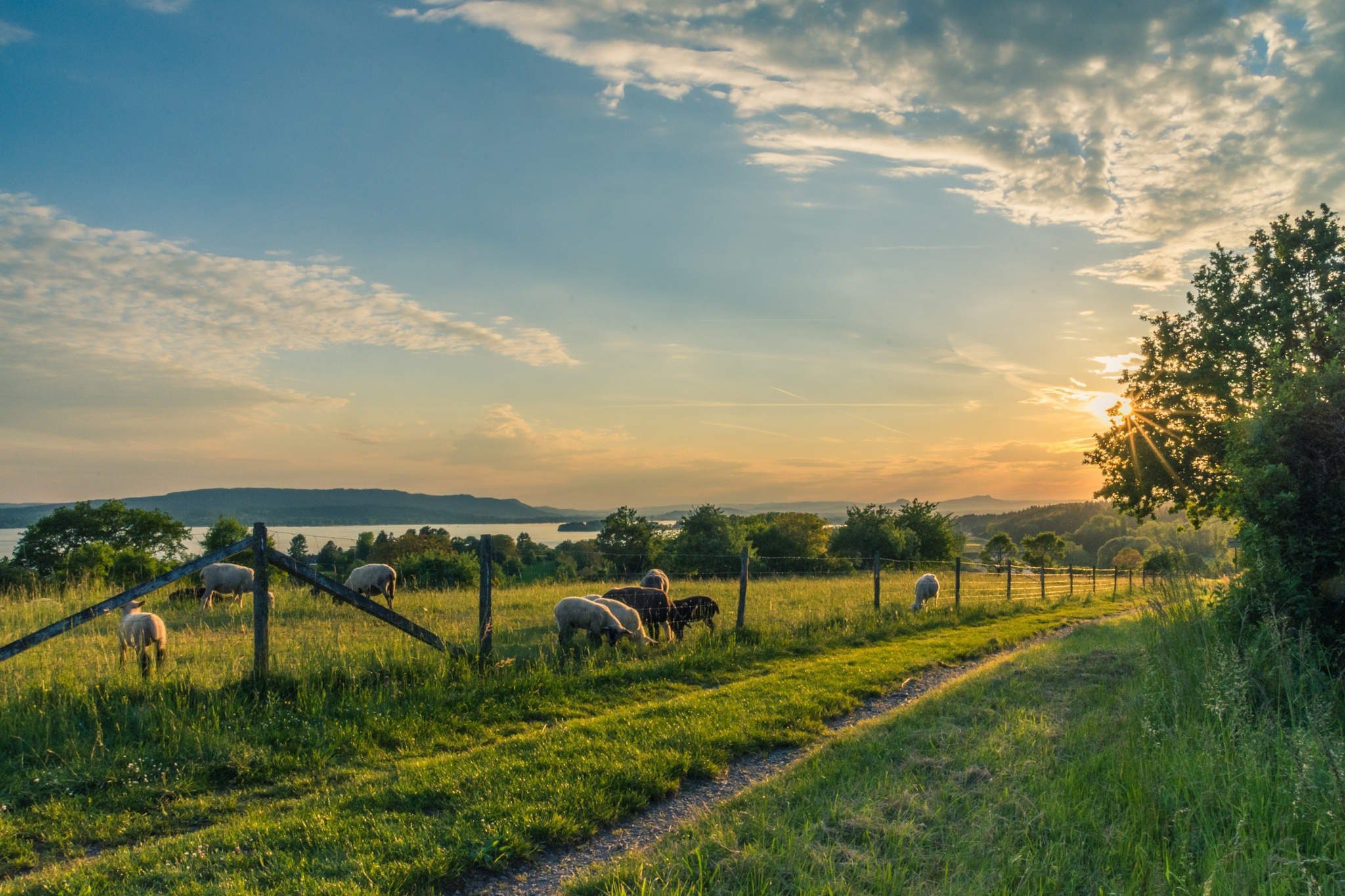 A round of applause for the rural community business heroes
