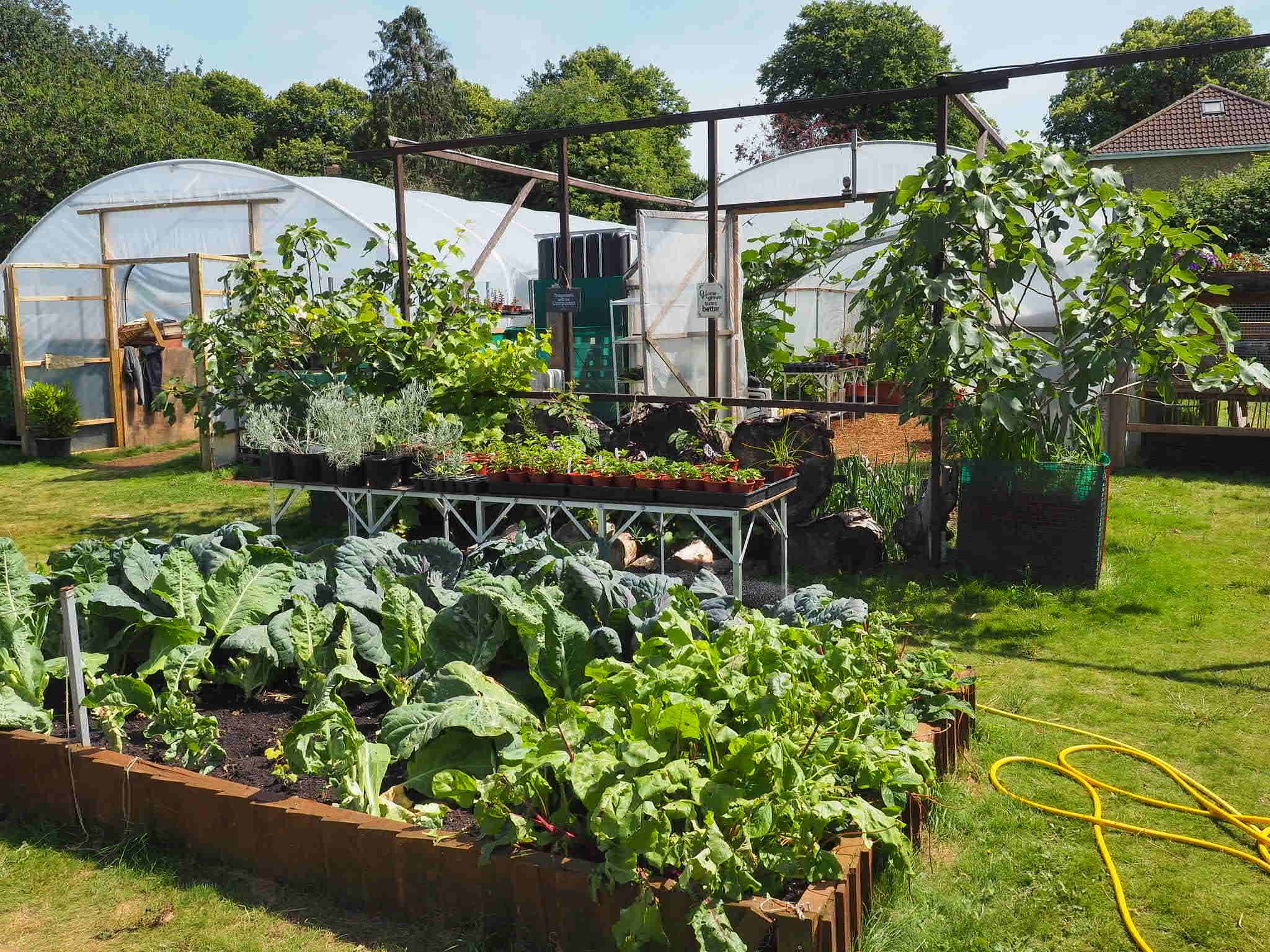 Celebrating climate confident community businesses