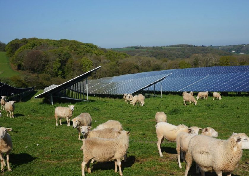 Yealm Community Energy