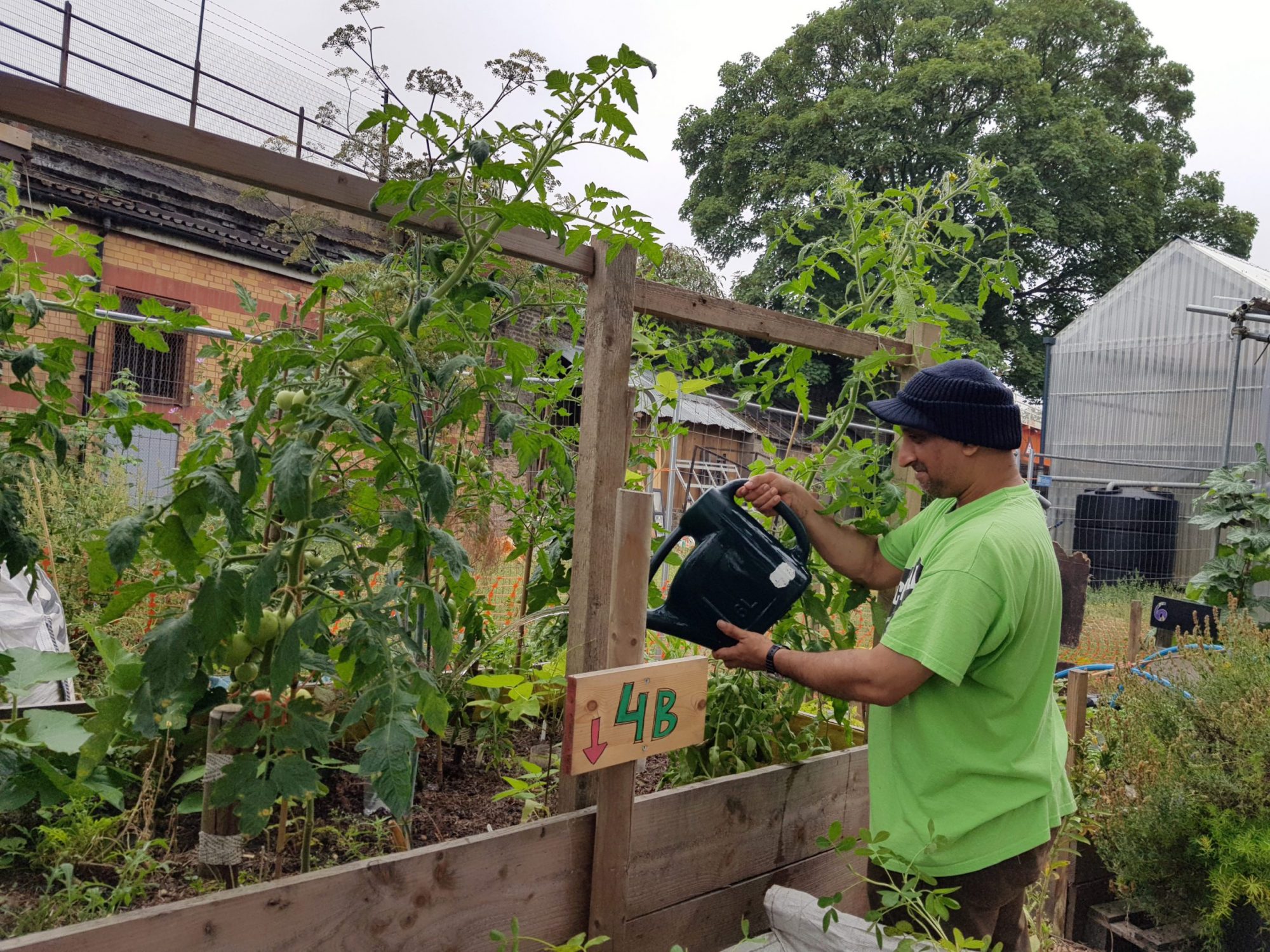 Power to change community garden