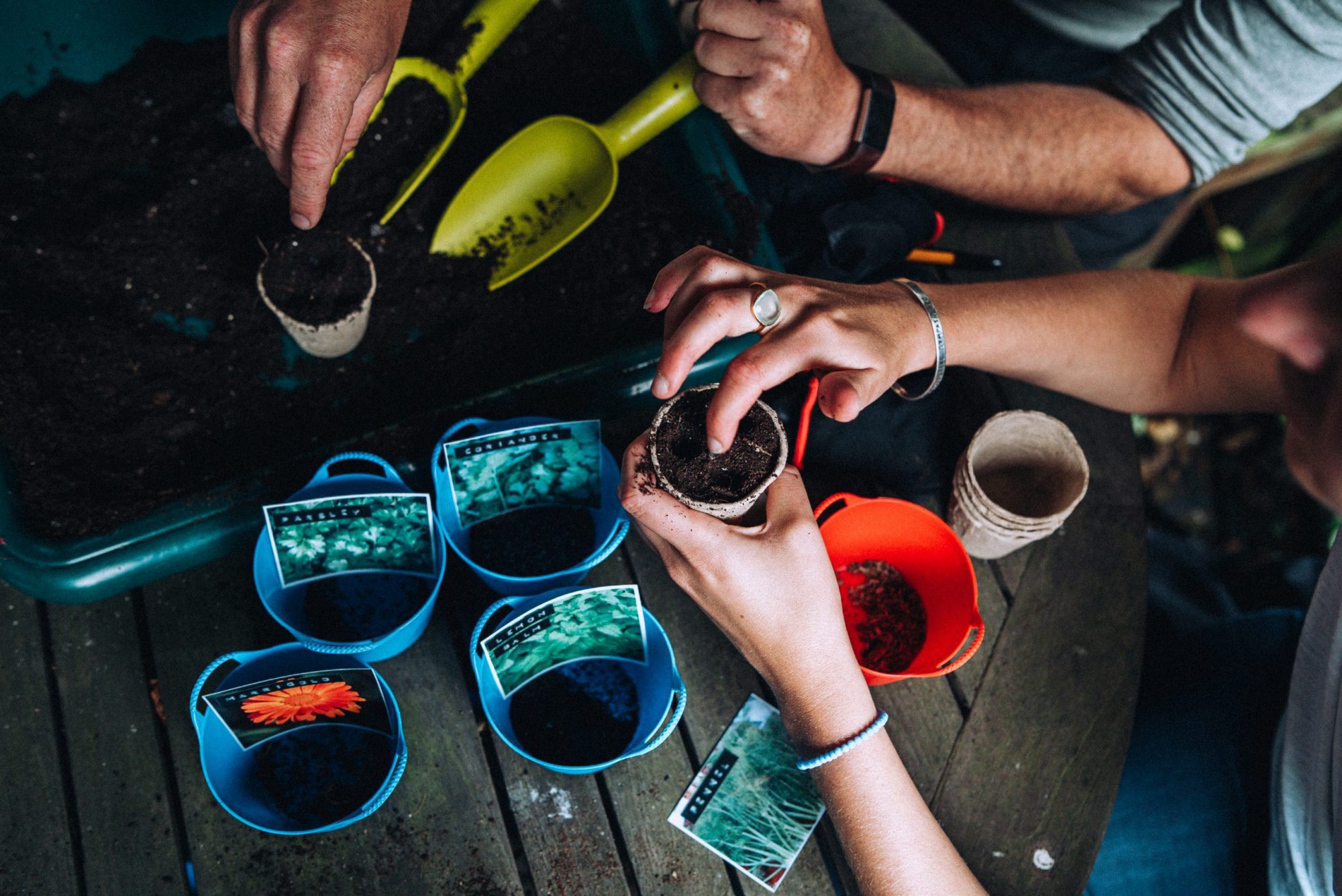 Hands packing soil into plant pots.