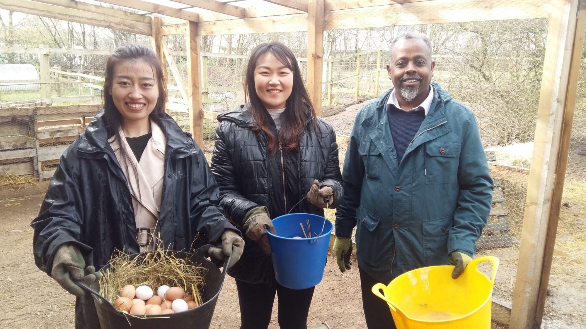 Supporting community businesses to better measure their impact