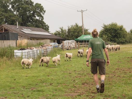 Digital skills: Fordhall Farm