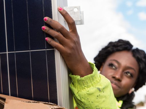 Learning about what works (and what doesn’t) for community energy businesses