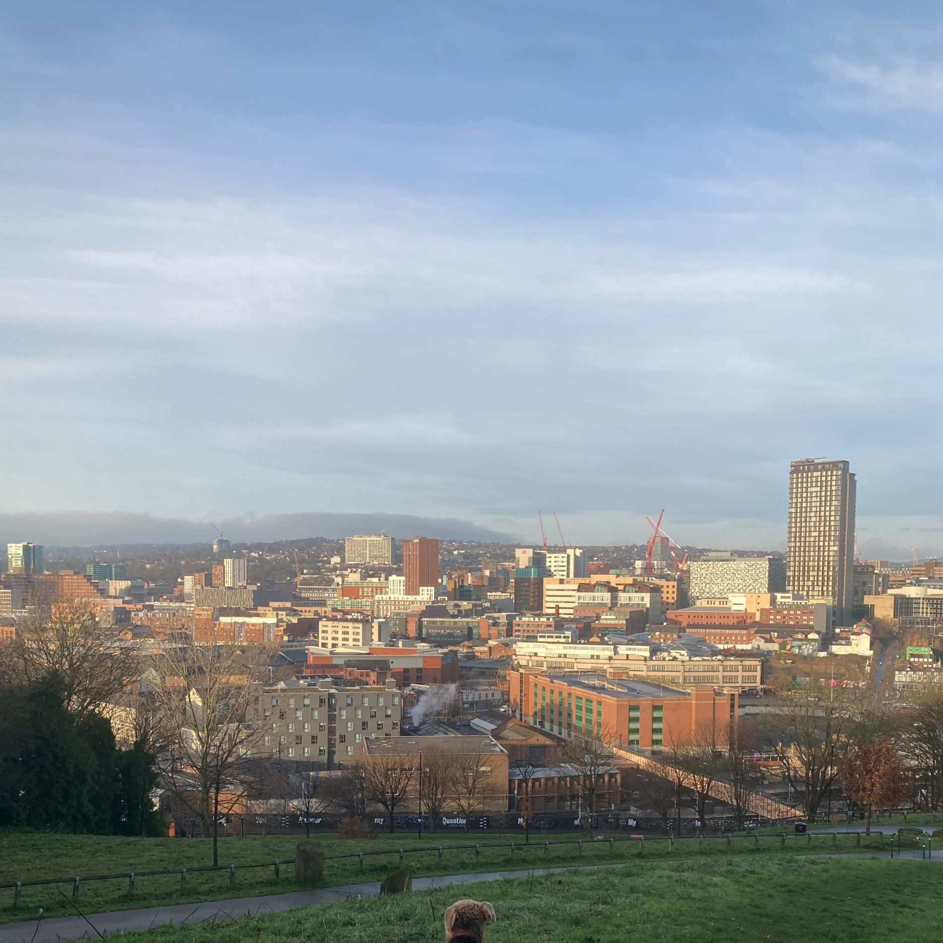Sheffield