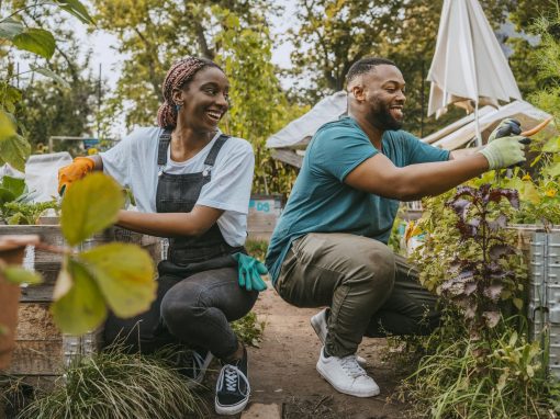 New research explores solutions for building resilient communities and tackling geographic inequalities