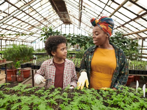 Exploring barriers to funding: insights from community businesses experiencing marginalisation